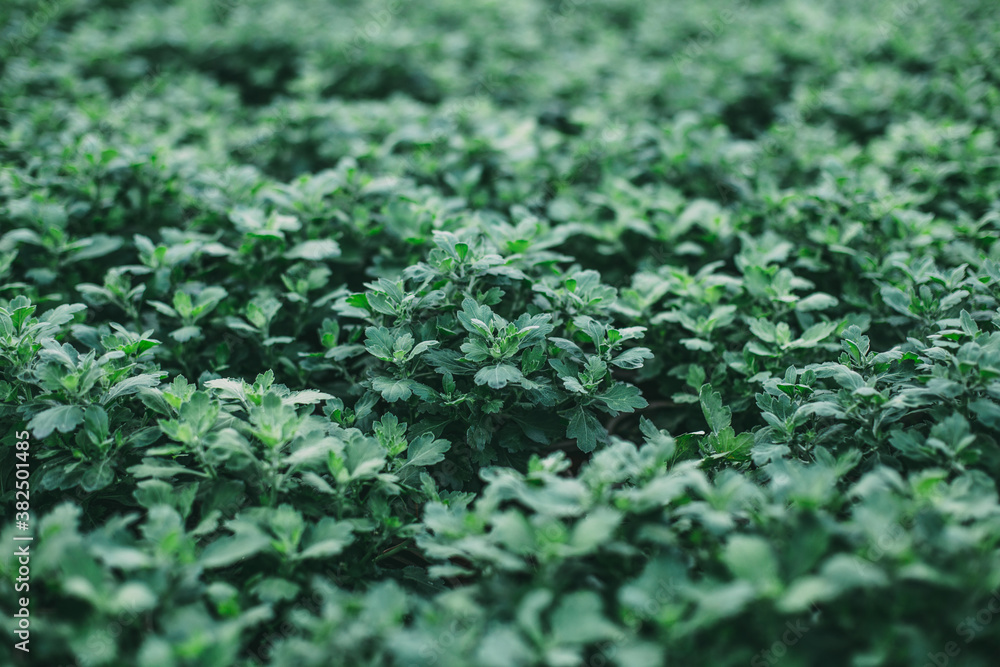 Keep Going, Keep Growing Keep Going, Keep Growing