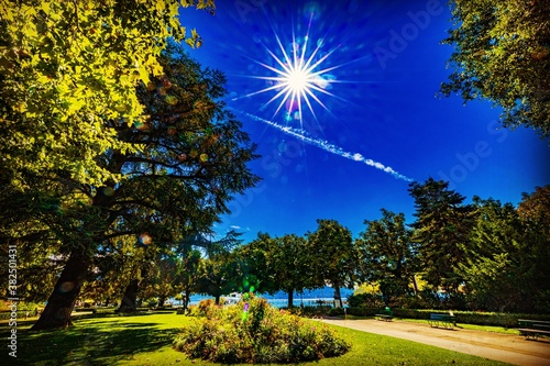 park in night