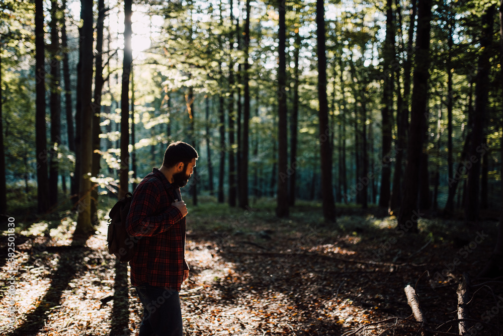 Bearded man standing in the forest Bearded man standing in the forest