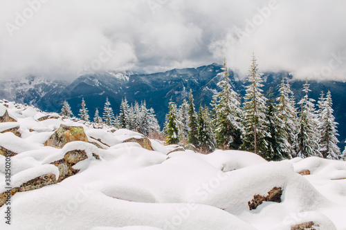 Scenic Snow Covered Landscape Of Pine Trees And Mountains photo