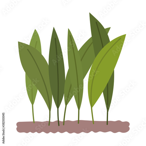 gardening, leaves planted in the soil isolated icon style