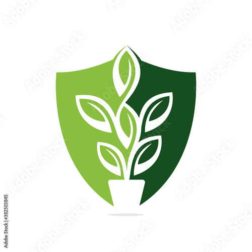 Flowers Pot Shield and Plant Pot Vector Illustration Design. Shield Green Tree on Pot Logo Design.
