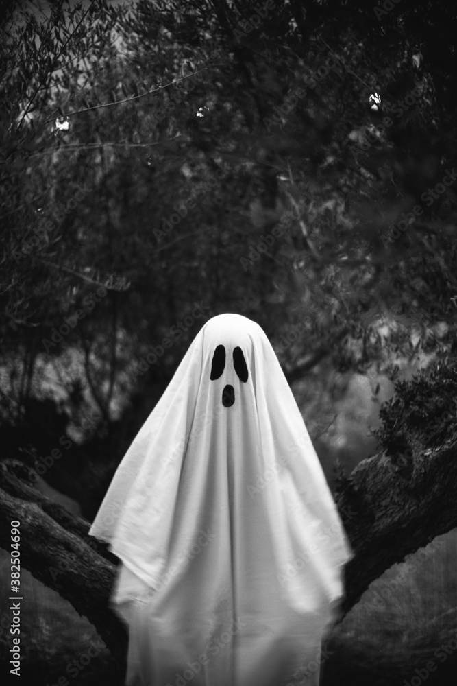 Halloween ghost Halloween ghost
