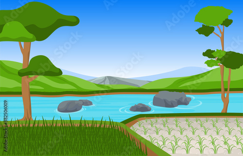 Fototapeta Naklejka Na Ścianę i Meble -  Asian Rice Field Paddy Plantation Agriculture Landscape Illustration
