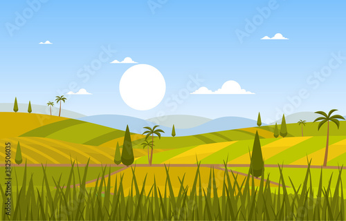 Asian Rice Field Paddy Plantation Agriculture Landscape Illustration