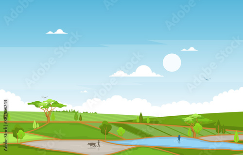Asian Farmer Cultivating Rice Field Paddy Plantation Agriculture Illustration