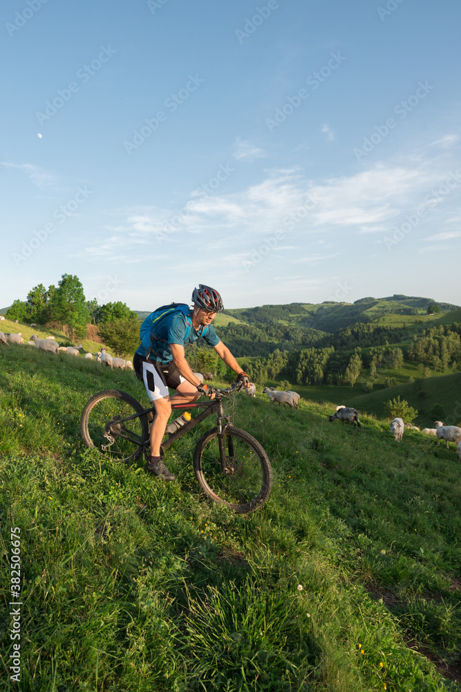 Sportive man riding his bike downhill on a mountain meadow Sportive man riding his bike downhill on a mountain meadow