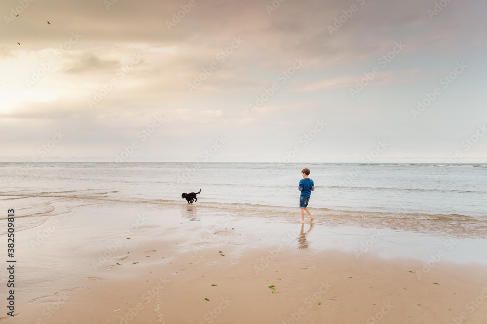 Boy walking his dog on the beach at sunset Boy walking his dog on the beach at sunset