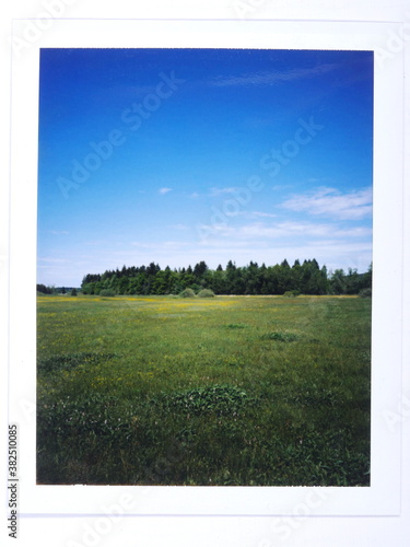 Forest landscape on polaroid shot. photo