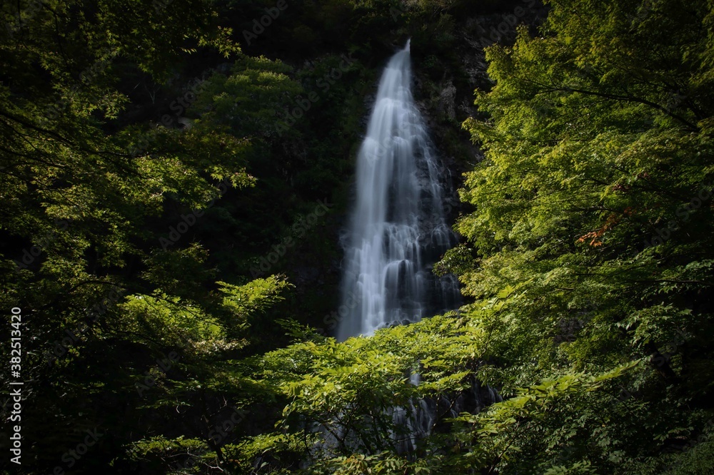 Obraz premium 天滝 Ten Falls