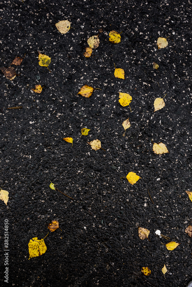 Asphalt road covered with leafs Asphalt road covered with leafs