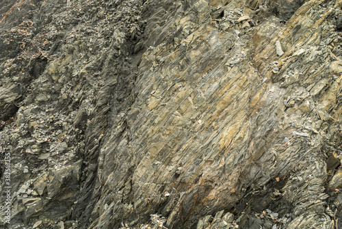 Weathered black silty shale. showing foliation and fracture photo