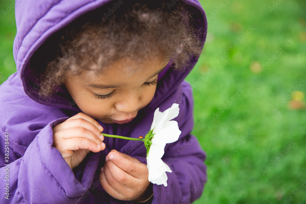 Portrait of a young pretty child closely examining a red ladybug sitting on a white flower Portrait of a young pretty child closely examining a red ladybug sitting on a white flower