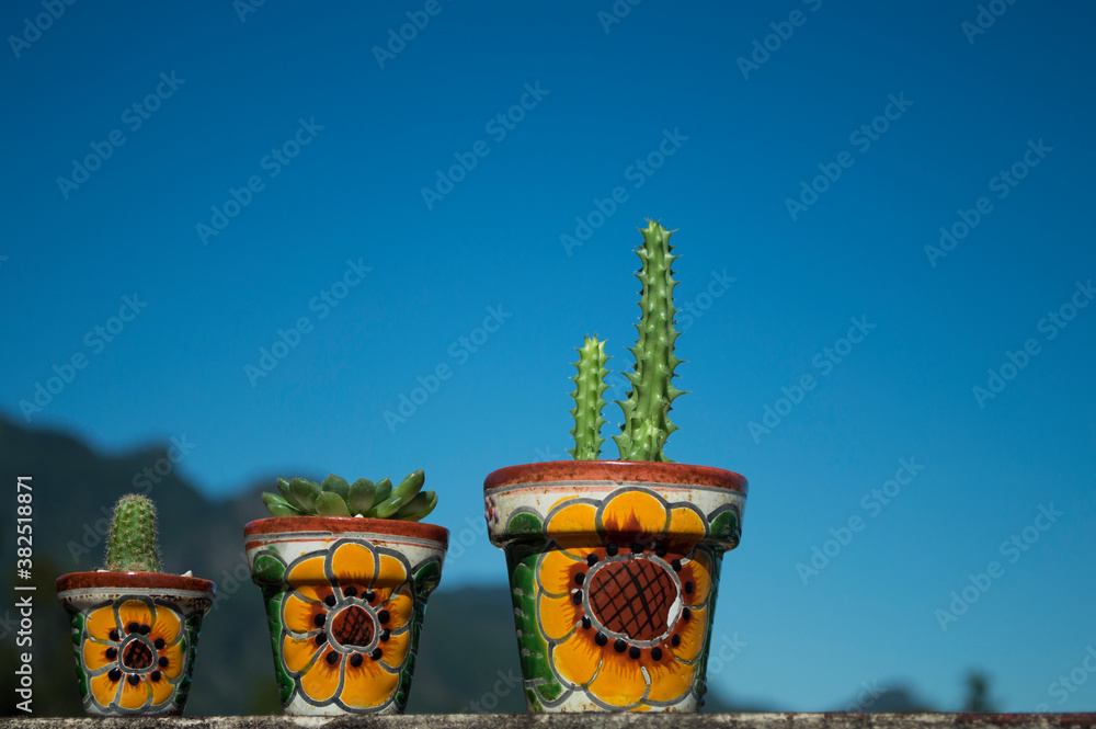 Naklejka premium Cactus en talavera