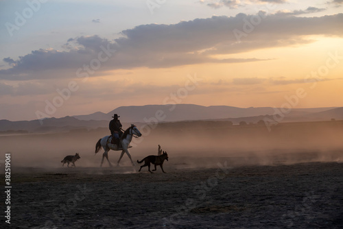 Wild horses run in foggy at sunset. Near Hormetci Village, between Cappadocia and Kayseri, Turkey