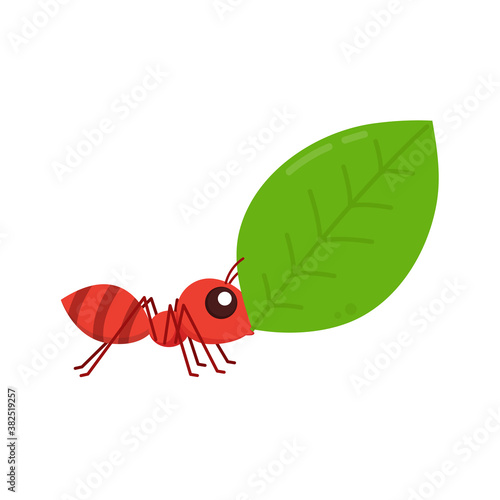Ants carrying green leaves. Ant vector. Ant on white background. free space for text. copy space.