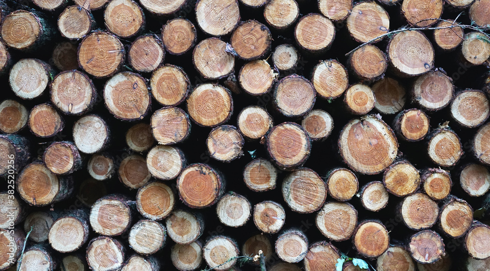 Stacked firewood horizontal Stacked firewood horizontal