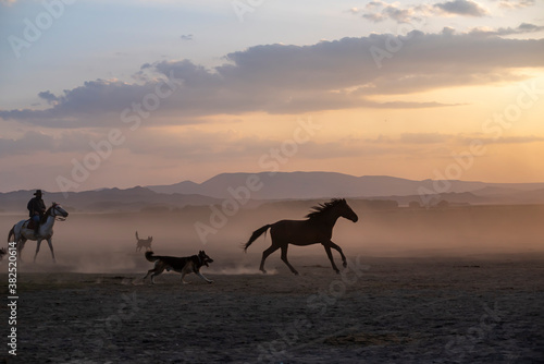 Wild horses run in foggy at sunset. Near Hormetci Village  between Cappadocia and Kayseri  Turkey