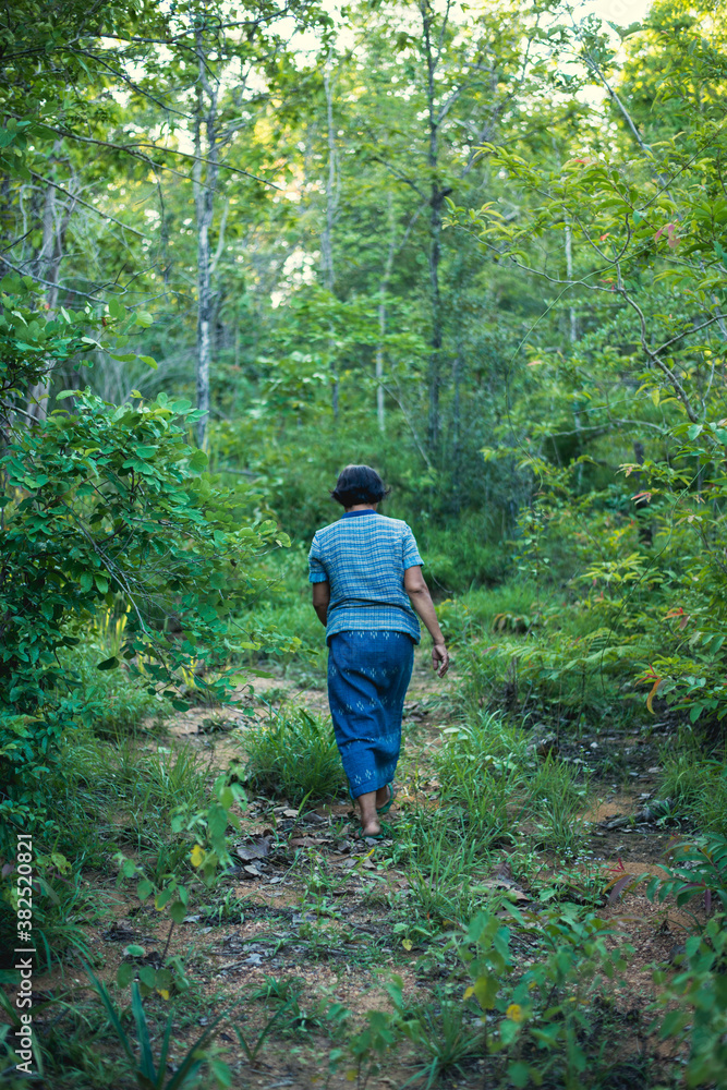 Learning from Nature Learning from Nature