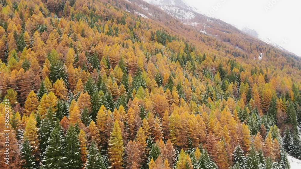 Aerial shot of autumn mountain forest landscape in Gran Paradiso National Park Aerial shot of autumn mountain forest landscape in Gran Paradiso National Park