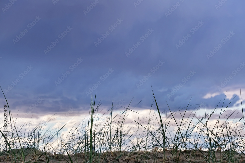 Obraz premium Grass On Background Of Dark Clouds