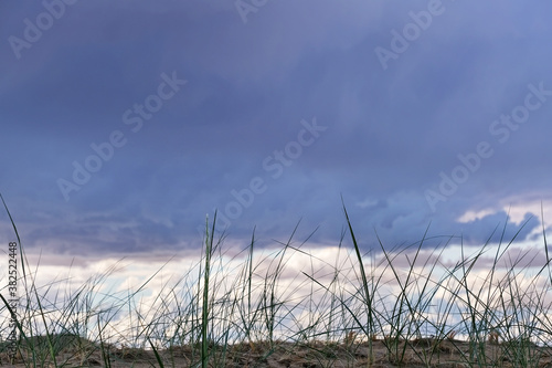 Grass On Background Of Dark Clouds