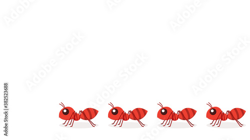 Ant vector. Ant on white background. free space for text. copy space