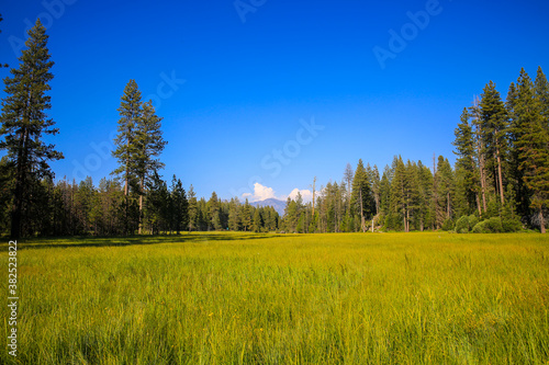 Kings Canyon National Park 