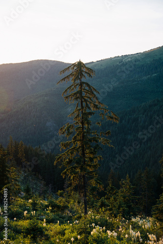 Idaho Hillside photo