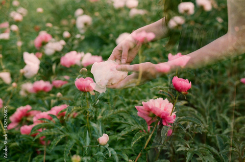 Multiple exposure shot of woman holding a peony flower at the garden