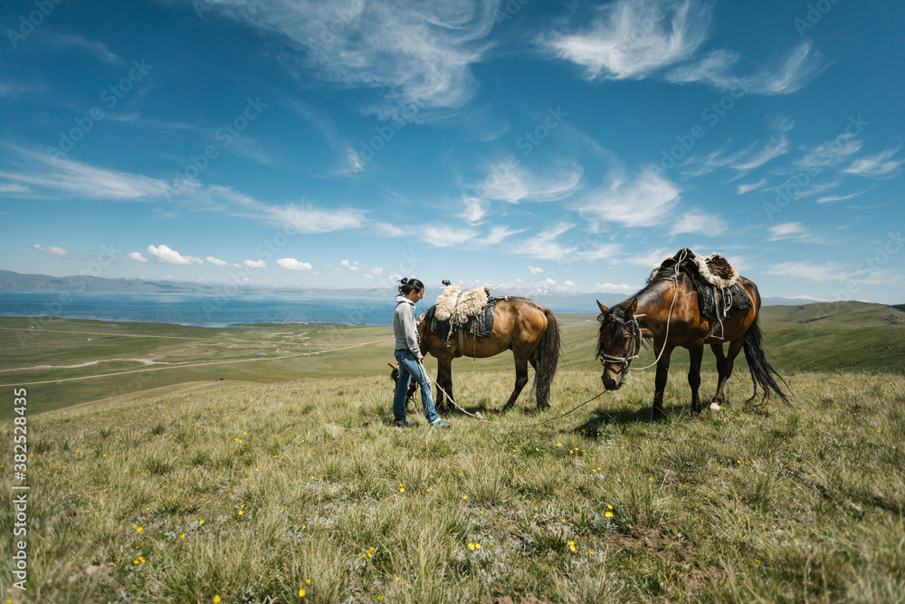 young woman with two horses on a mountainous meadow beside a lake young woman with two horses on a mountainous meadow beside a lake