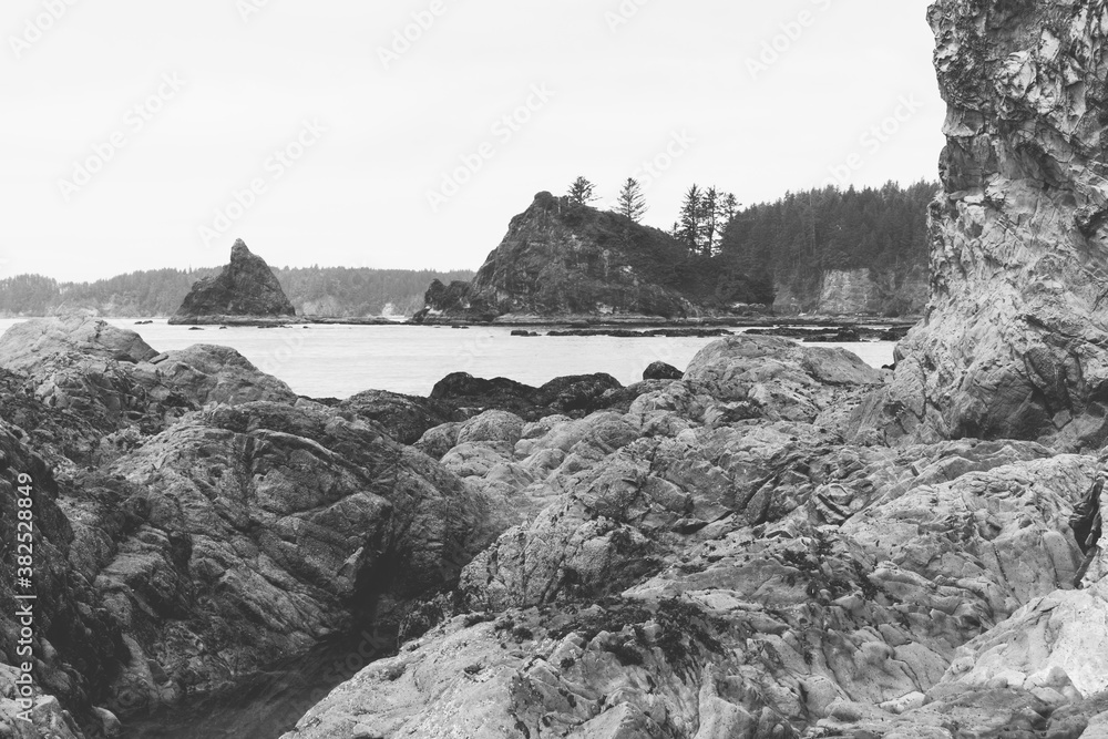 View of rock formation and coastline at low tide, Olympic National Park, Washington View of rock formation and coastline at low tide, Olympic National Park, Washington