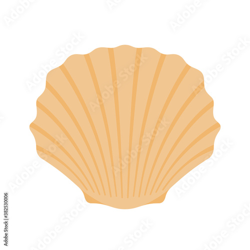 Seashell Sea Scallop. Seashell. Clam. Oyster.