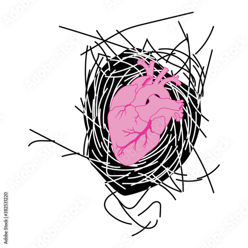 Human heart in bird's nest. Creative concept. Relationships of man and nature.