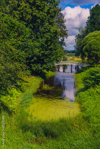 Amazing landscape in a beautiful park