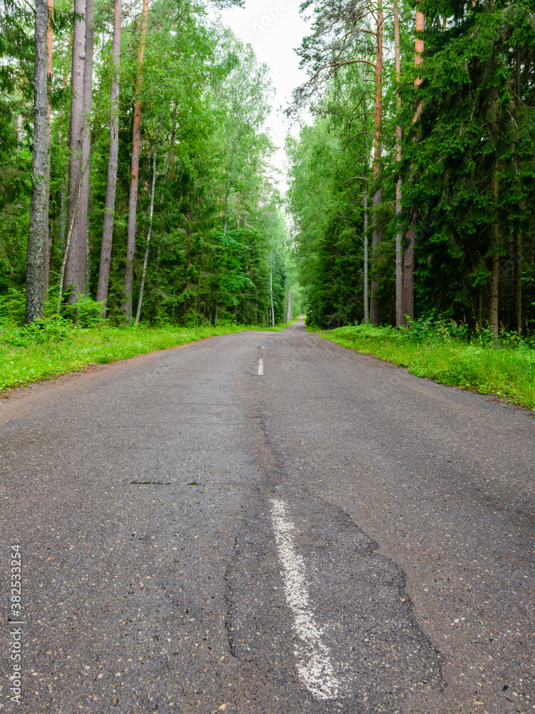 Forest road in central Russia