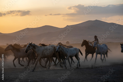 Wild horses run in foggy at sunset. Near Hormetci Village, between Cappadocia and Kayseri, Turkey © attraction art