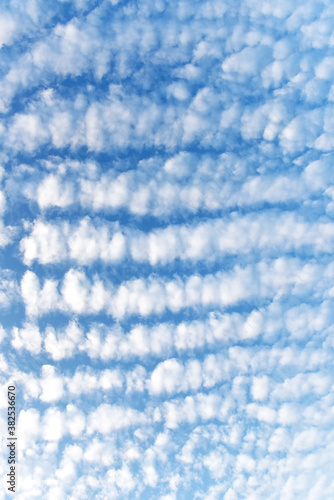 Blue sky with many fluffy white clouds