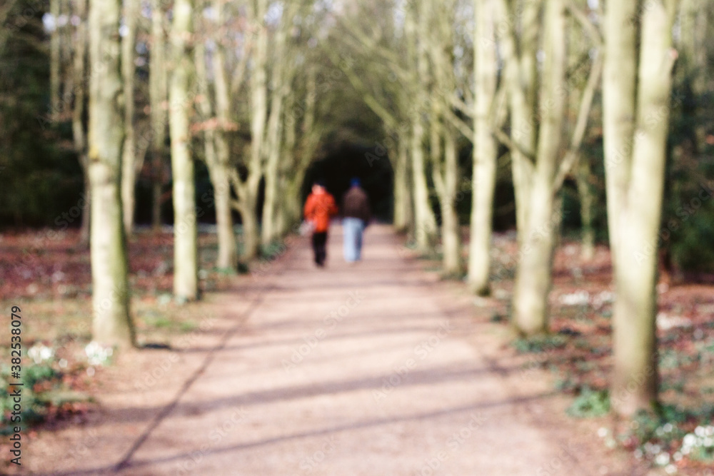 A deliberately blurred image of an avenue of trees and 2 people. A deliberately blurred image of an avenue of trees and 2 people.