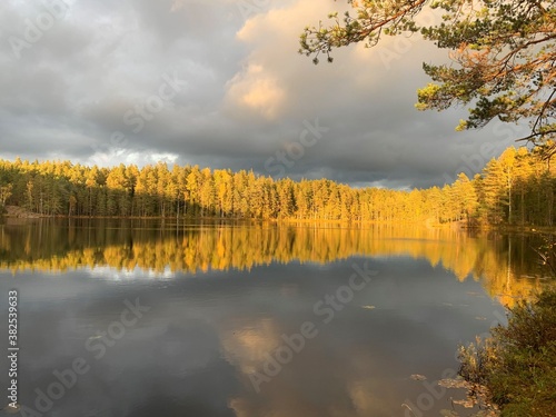 A small lake in the forest just before the sun is about to set. Beautiful autumnal landscape in the nature. The photo is taken in Nuuksio nature reserve in southern Finland.