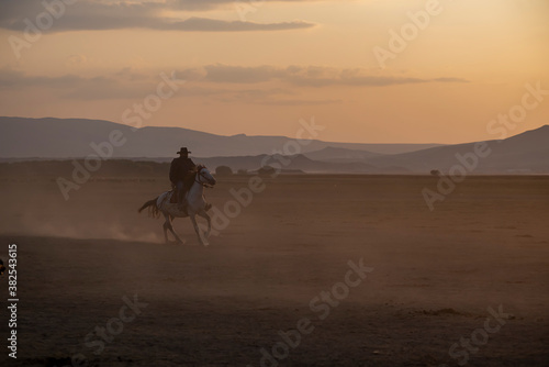 Wild horses run in foggy at sunset. Near Hormetci Village  between Cappadocia and Kayseri  Turkey