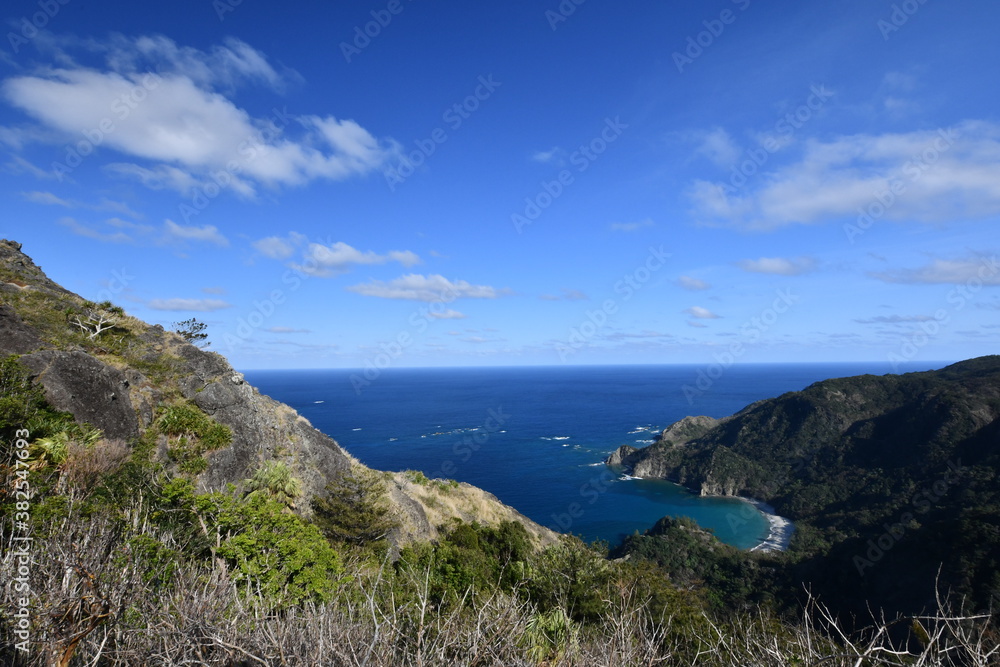 Fototapeta premium 小笠原