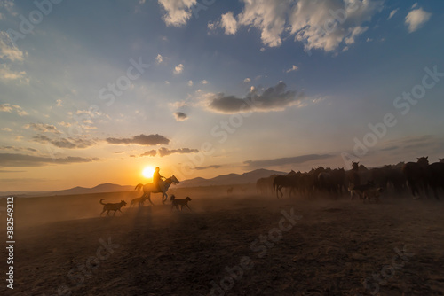 Wild horses run in foggy at sunset. Near Hormetci Village, between Cappadocia and Kayseri, Turkey