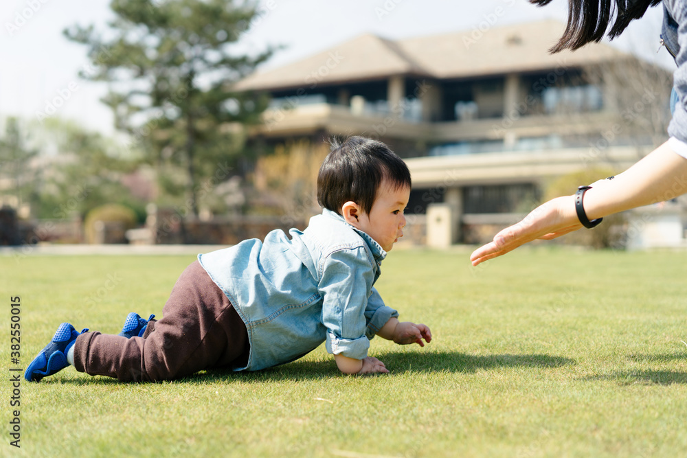 Baby boy crawling towards his mother on grass in a garden Baby boy crawling towards his mother on grass in a garden