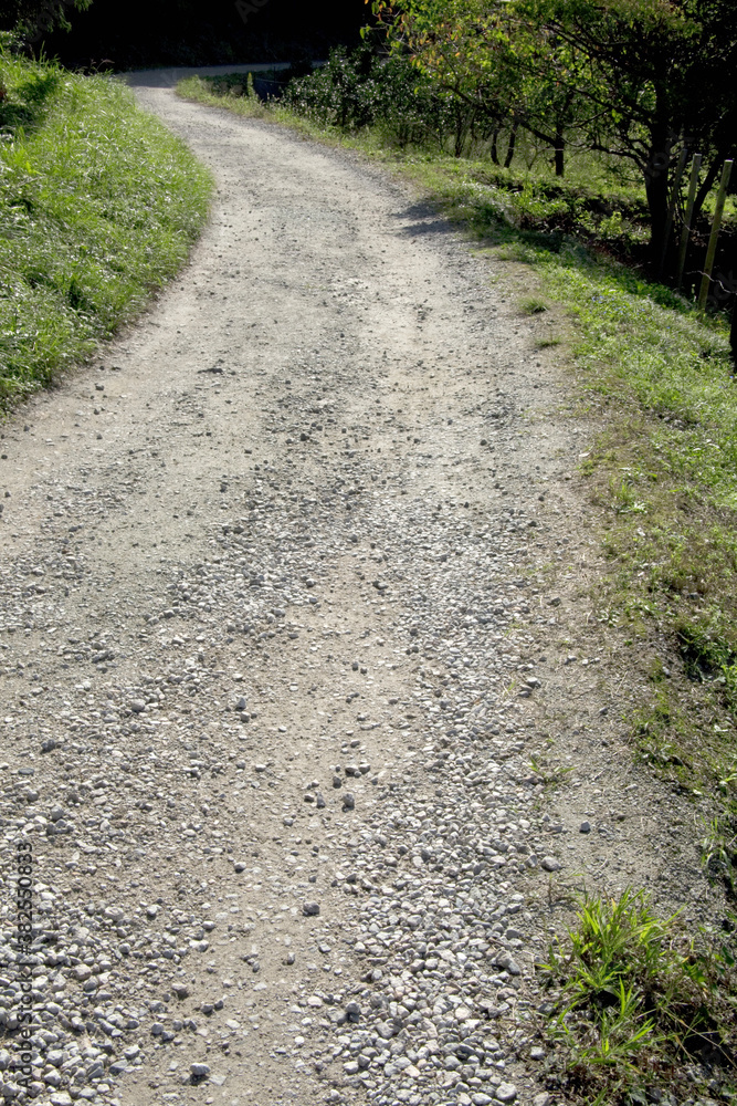 田舎の地道