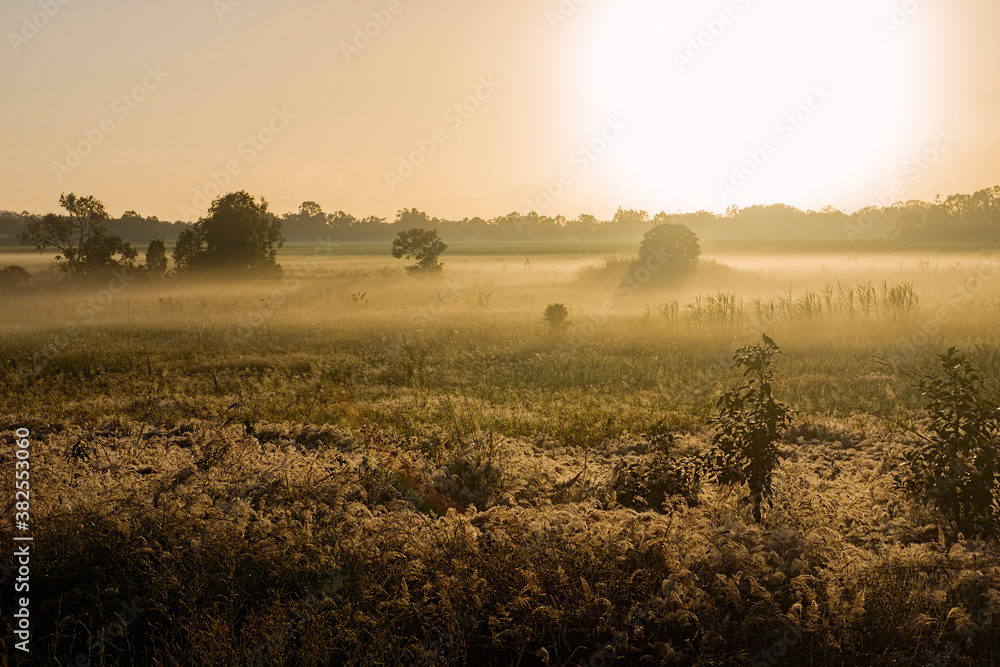 Early morning mist and fog in a landscape