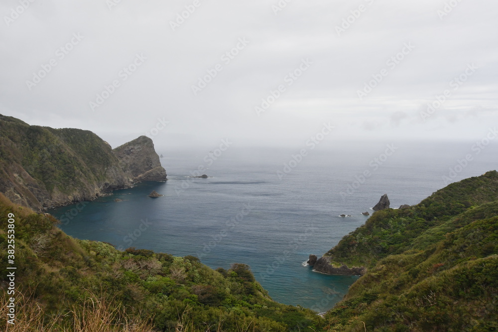 母島 母島