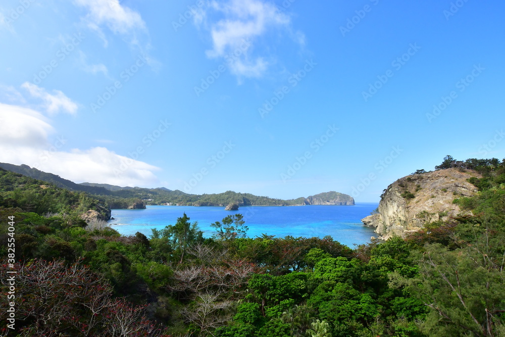 Fototapeta premium 小笠原の海