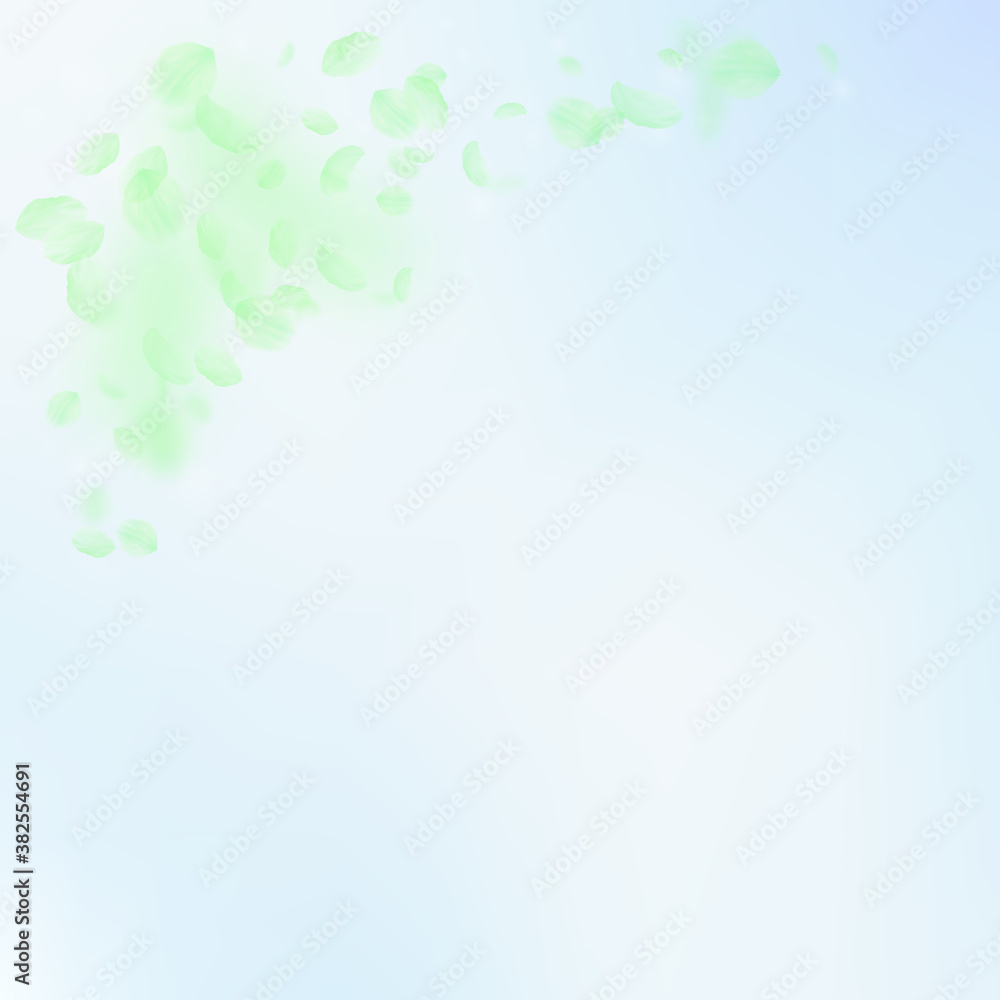 Green flower petals falling down. Marvelous romant Green flower petals falling down. Marvelous romant