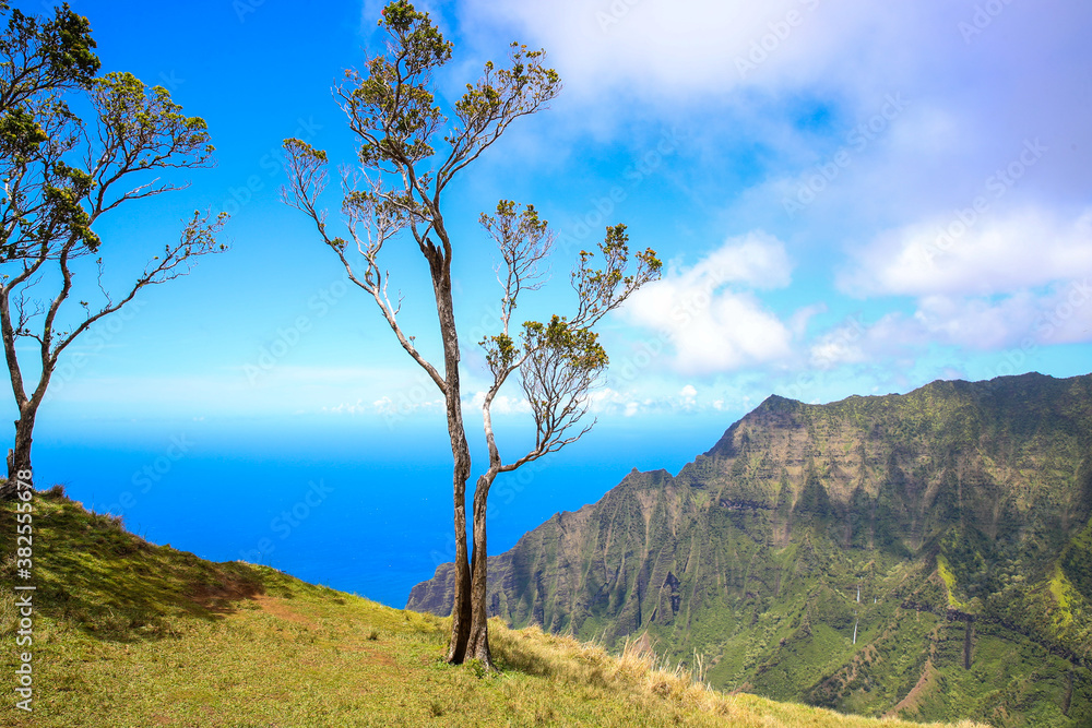 Kalalau Lookout, Na Pali Coast State Wilderness Park, Kauai, Hawaii Kalalau Lookout, Na Pali Coast State Wilderness Park, Kauai, Hawaii